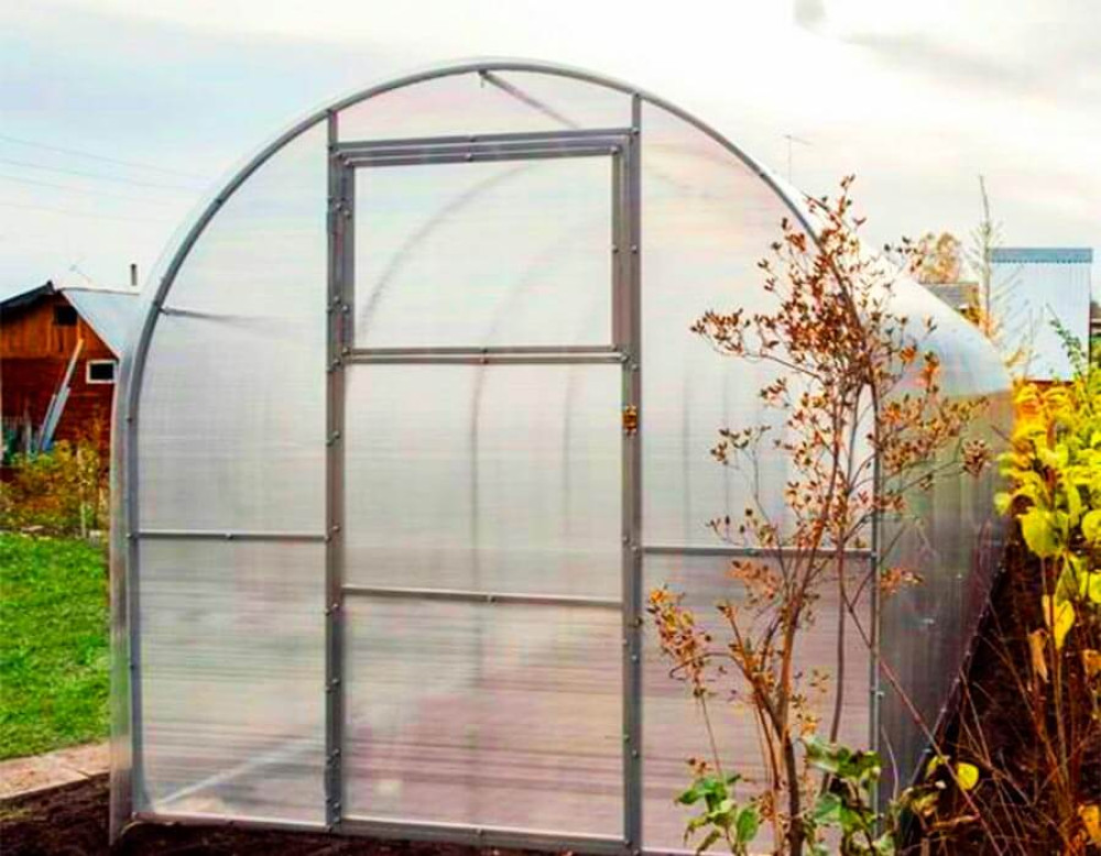 Теплица СПР 24 м шаг 1 м ширина 2.4 м Теплица СПР 24 м шаг 1 м ширина 2.4 м