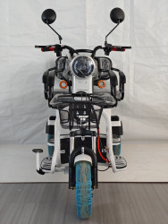 Электрический трицикл Shtenli Model XL 48V- фото3